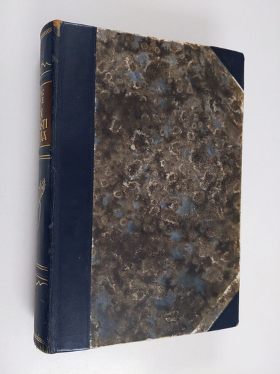 Irving Stone : Hän rakasti elämää : romaani Vincent Van Goghista