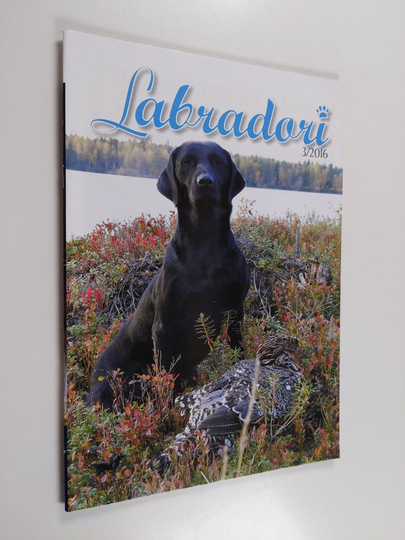 Labradori 3/2016