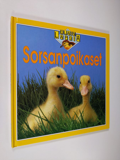 Kate Petty : Sorsanpoikaset