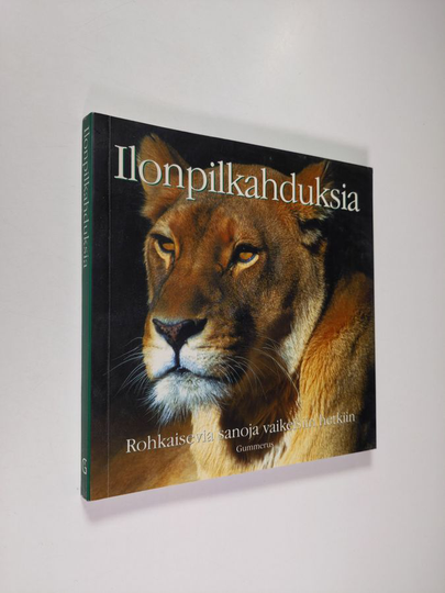 Tom Burns : Ilonpilkahduksia : rohkaisevia sanoja vaikeisiin hetkiin