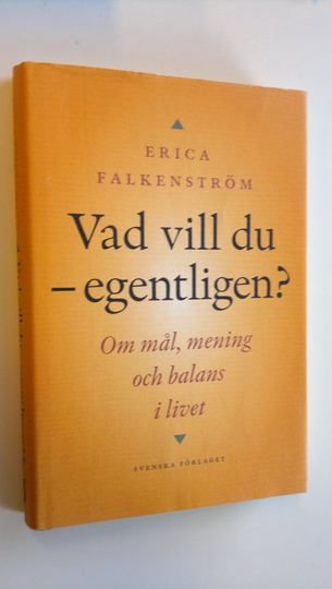 Erica Falkenström : Vad vill du - egentligen?