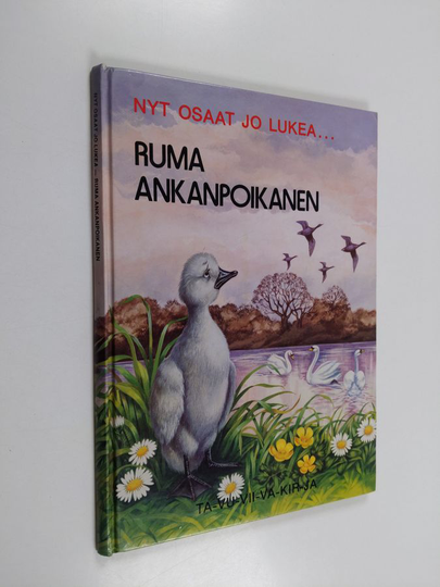 Ruma ankanpoikanen