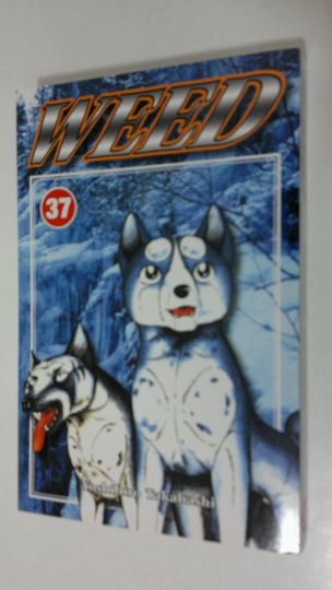 Yoshihiro Takahashi : Weed 37