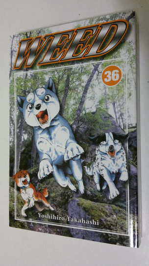 Yoshihiro Takahashi : Weed 36