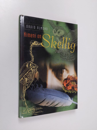 David Almond : Nimeni on Skellig