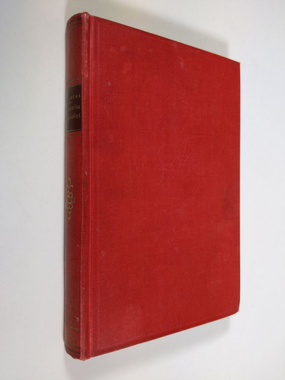 Agapetus : Asessorin naishuolet : romaani