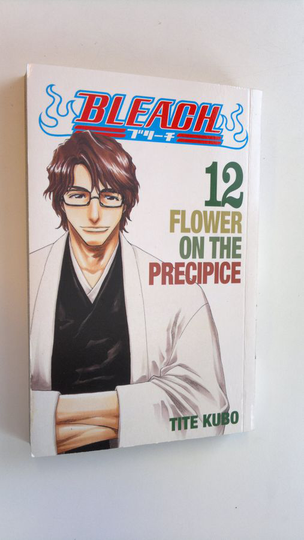 Tite Kubo : Bleach 12 - Flower on the precipice