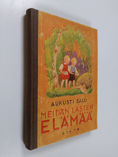 Aukusti Salo : Meidän lasten elämää