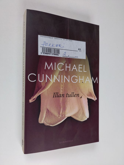 Michael Cunningham : Illan tullen