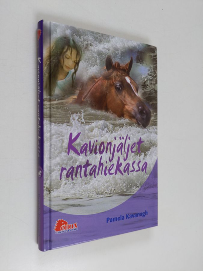 Pamela Kavanagh : Kavionjäljet rantahiekassa