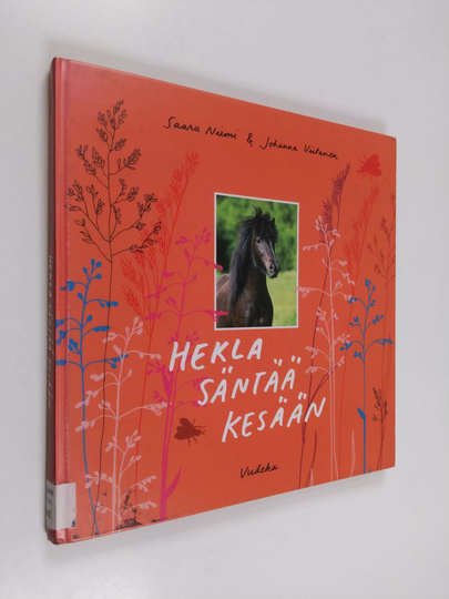 Saara Niemi : Hekla säntää kesään