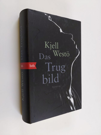 Kjell Westö : Das Trugbild - Roman