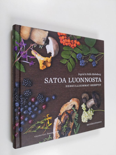 Ingrid Holmberg : Satoa luonnosta : herkullisimmat reseptit