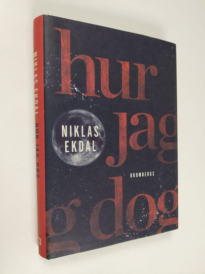 Niklas Ekdal : Hur jag dog : och fick klart för mig hur allt hänger ihop
