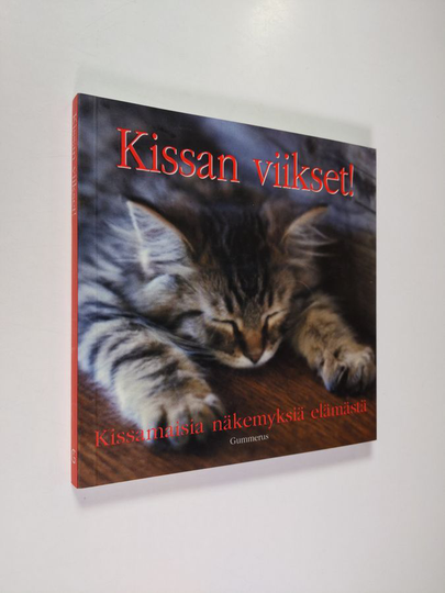 Kissan viikset! : kissamaisia näkemyksiä elämästä