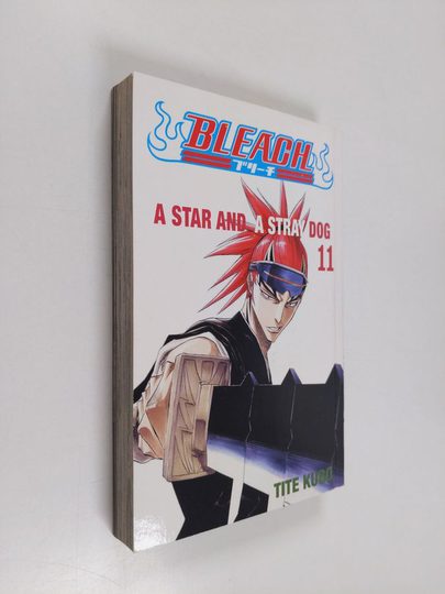 Tite Kubo : Bleach, 11 - Star and a stray dog