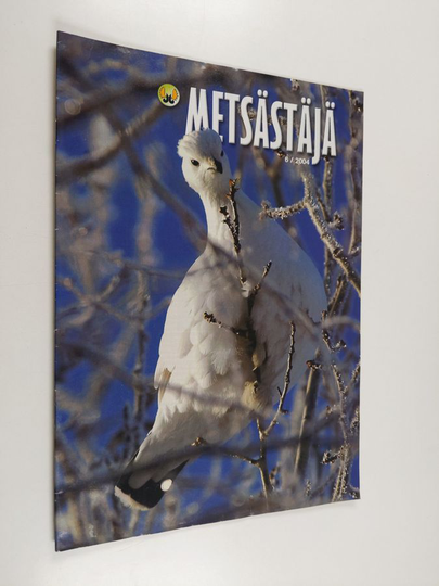Metsästäjä 6 / 2004