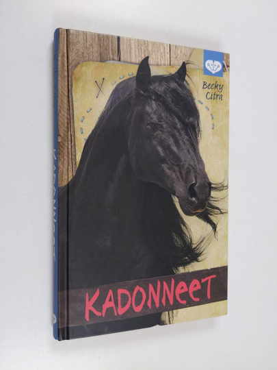 Becky Citra : Kadonneet