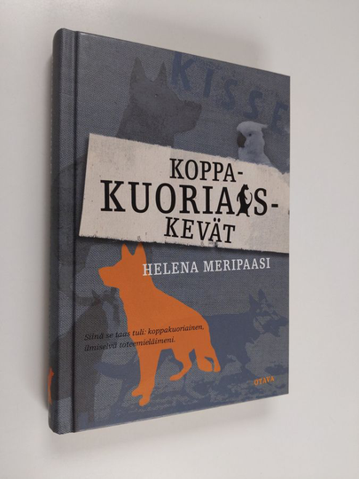 Helena Meripaasi : Koppakuoriaiskevät