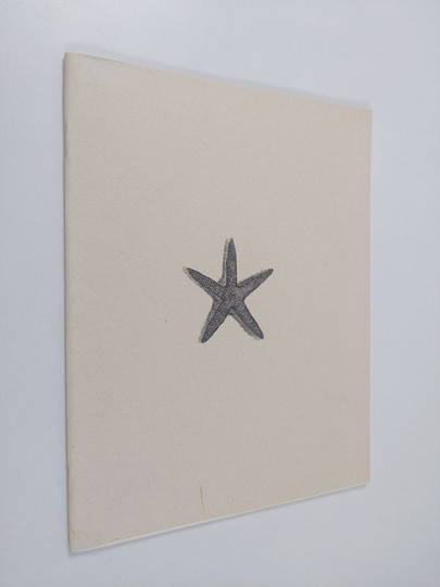 Tuula Lehtinen : Tuula Lehtinen : 14.2.-4.3.1990, Taidegraafikot-galleria